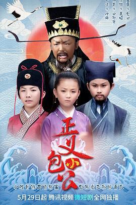 正义小包公 (2022)海报