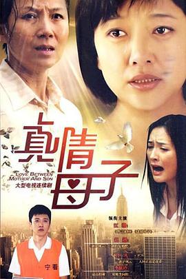 真情母子 (2010)海报