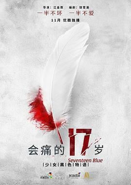 会痛的17岁 (2015)海报