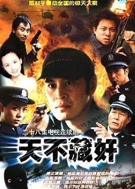 天不藏奸 (2003)海报