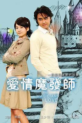 爱情魔发师 (2006)海报