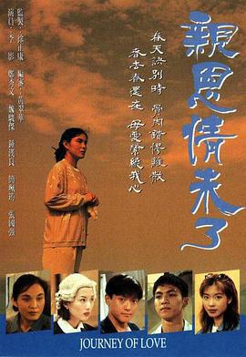 亲恩情未了 亲恩情未了 (1995)海报