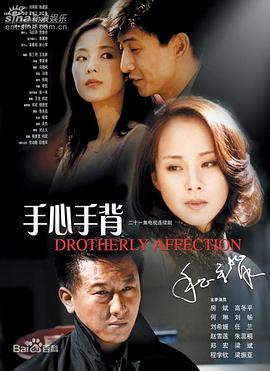 手心手背 (2002)海报