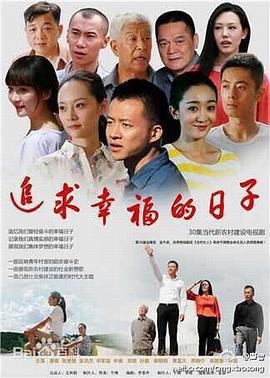 追求幸福的日子 (2014)海报