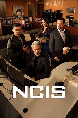 海军罪案调查处 第二十二季 NCIS: Naval Criminal Investigative Service Season 22 (2024)海报