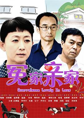 冤家亲家 (2014)海报