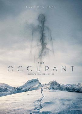 冻土潜行 The Occupant (2025)海报