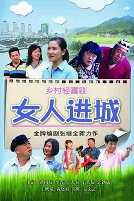 女人进城 (2013)海报