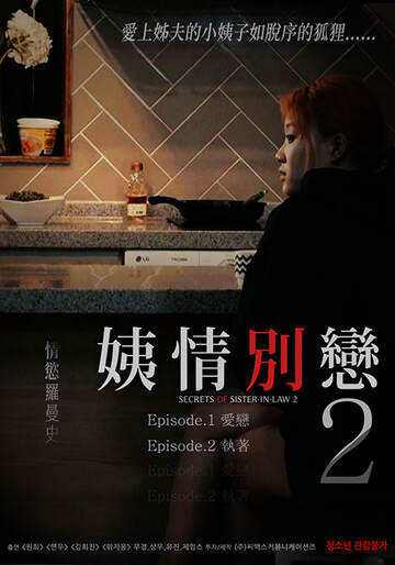 姨情别恋2海报