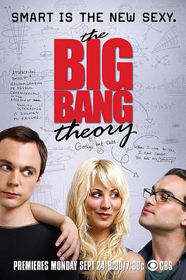 生活大爆炸 第一季 The Big Bang Theory Season 1 (2007)海报