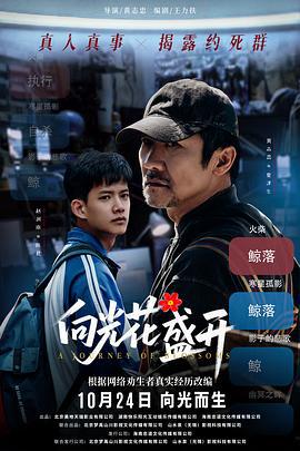 向光花盛开 (2025)海报