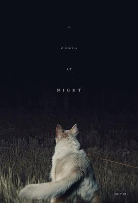 黑夜造访 It Comes at Night (2017)海报