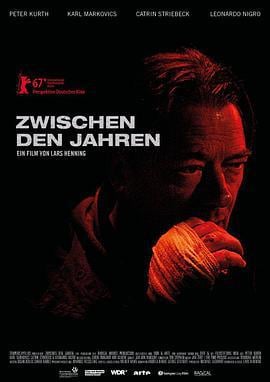 下一年 Zwischen den Jahren (2017)海报