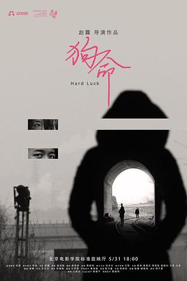 狗命 (2019)海报