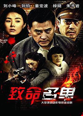 致命名单 (2012)海报