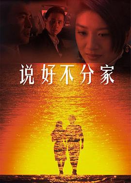 说好不分家 (2008)海报
