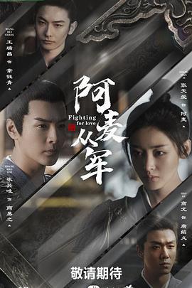 阿麦从军 (2024)海报