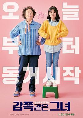 天衣无缝的她 감쪽같은 그녀 (2019)海报