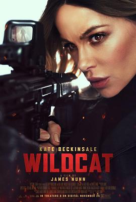 限时营救 Wildcat (2025)海报