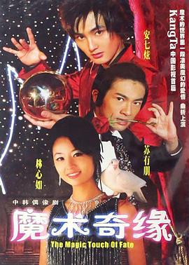 魔术奇缘 (2005)海报