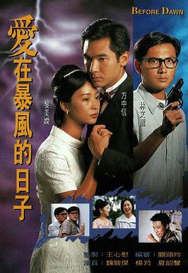 爱在暴风的日子 愛在暴風的日子 (1995)海报