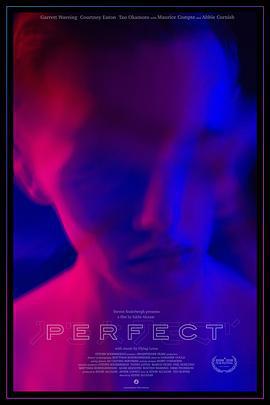 完美 Perfect (2018)海报