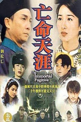 亡命天涯 (1997)海报