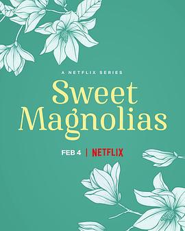 甜木兰 第二季 Sweet Magnolias Season 2 (2022)海报