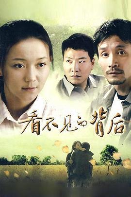 看不见的背后 (2011)海报