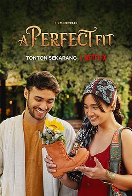 佳履奇缘 A Perfect Fit (2021)海报