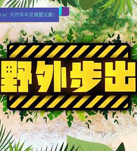 野外步出 (2021)海报