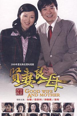 贤妻良母 (2009)海报