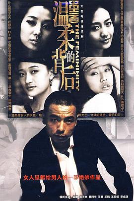 温柔的背后 (2008)海报