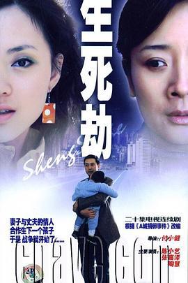 生死劫 (2005)海报