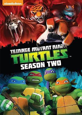 忍者神龟 第二季 Teenage Mutant Ninja Turtles Season 2 (2013)海报