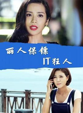 丽人保镖之IT狂人 (2017)海报