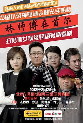 林师傅在首尔 (2010)海报