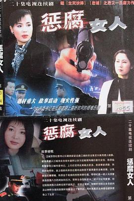惩腐女人 (2004)海报
