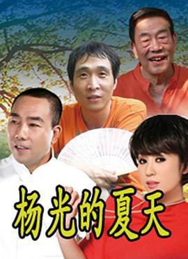 杨光的夏天 (2012)海报