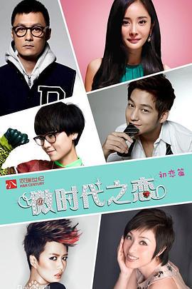 微时代 (2014)海报
