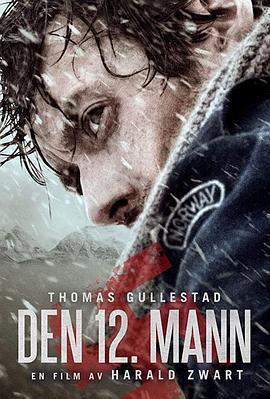 第十二个人 Den 12. mann (2017)海报