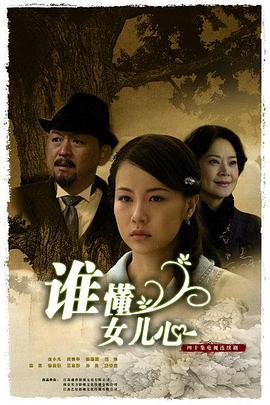 谁懂女儿心 (2009)海报
