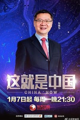 这就是中国 (2019)海报
