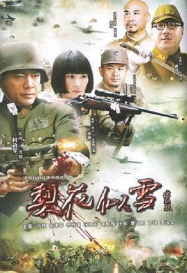 梨花似雪 (2010)海报