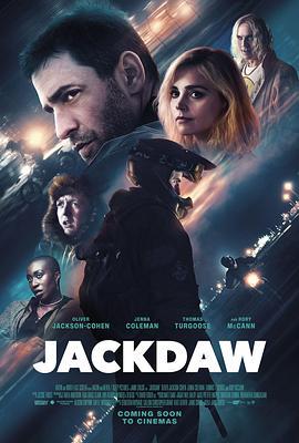 寒鸦 Jackdaw (2023)海报