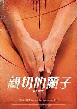 亲切的兰子海报