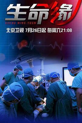生命缘 第一季 (2014)海报