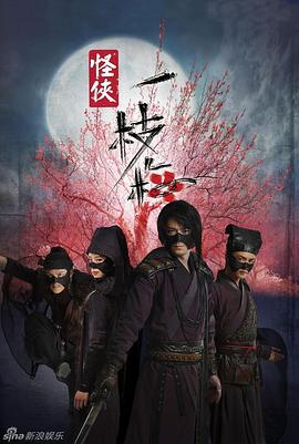 怪侠一枝梅 (2010)海报
