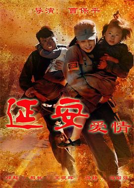 延安爱情 (2010)海报