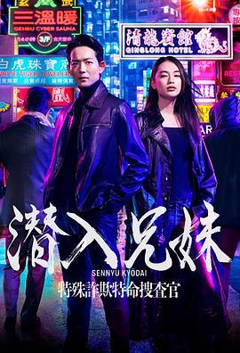潜入兄妹 特殊诈欺特命搜查官 潜入兄妹 特殊詐欺特命捜査官 (2024) hou_pian海报